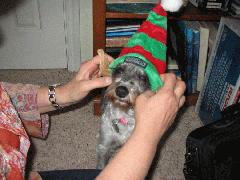 Heather 2006 - IMG_2169.jpg Heather 2006 - IMG_2169.jpg